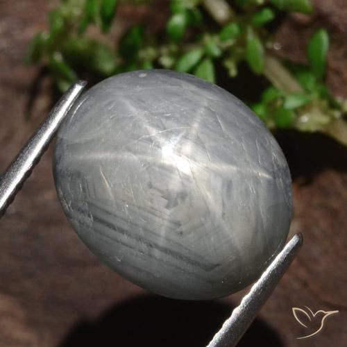 Saphir étoilé Gris moyen naturelle ovale, 13.46 ct, Opaque
