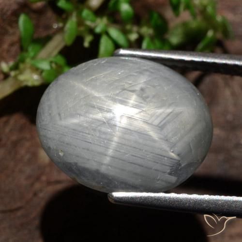 Saphir étoilé Gris moyen naturelle ovale, 13.46 ct, Opaque