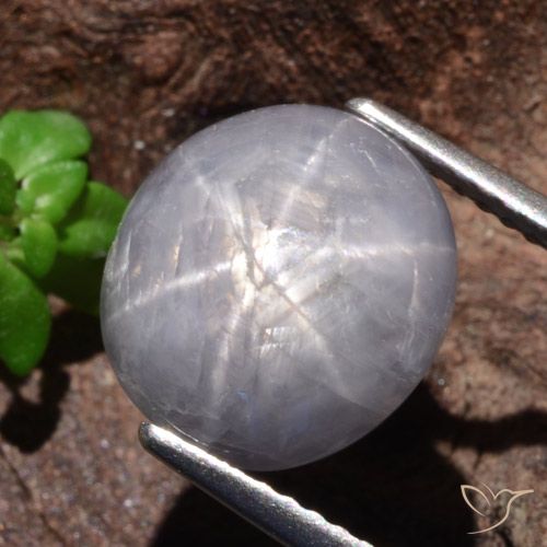 9.39ct Naturel Gris léger Saphir étoilé, ovale, Opaque