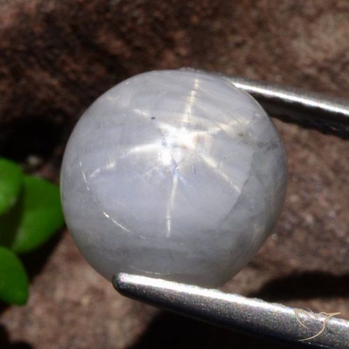 5.35ct Naturel Gris léger Saphir étoilé, ovale, Opaque