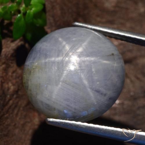 Saphir Étoilé Gris léger naturelle Coupe roude, 21.23 ct, Opaque