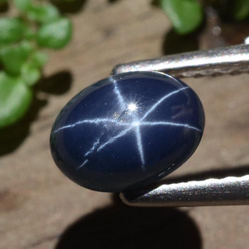 Saphir étoilé bleue naturelle coupe ovale, 1,58 ct, opaque