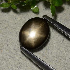 Saphir étoilé noir naturelle coupe ovale, 1,15 ct, opaque