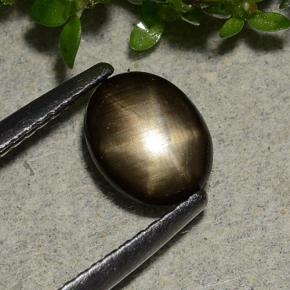 Saphir étoilé noir naturelle coupe ovale, 1,15 ct, opaque