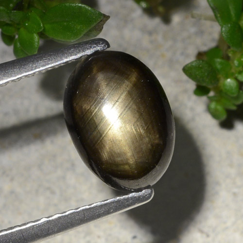 Saphir étoilé noir naturelle coupe ovale, 2,20 ct, opaque