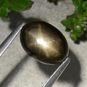 Saphir étoilé noir naturelle coupe ovale, 2,20 ct, opaque