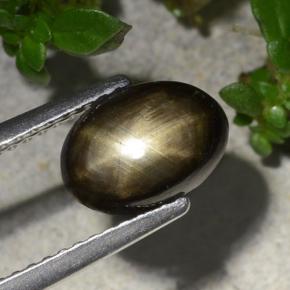 Saphir étoilé noir naturelle coupe ovale, 2,20 ct, opaque