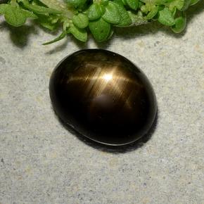 Saphir Étoilé Noire naturelle Coupe ovale, 2.31 ct, Opaque