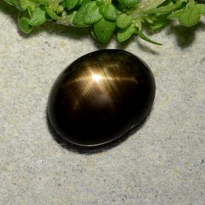 Saphir Étoilé Noire naturelle Coupe ovale, 2.31 ct, Opaque