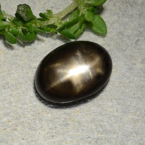 Saphir étoilé noir naturelle coupe ovale, 2,31 ct, opaque