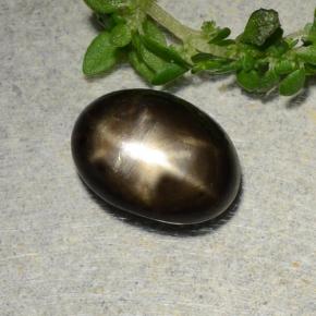 Saphir étoilé noir naturelle coupe ovale, 2,31 ct, opaque