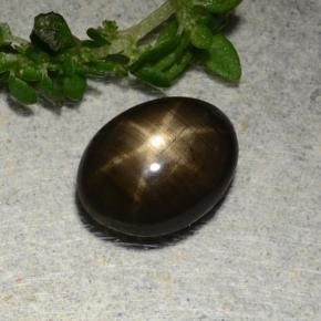 Saphir étoilé noir naturelle coupe ovale, 1,97 ct, opaque