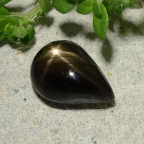 Saphir Étoilé Noire naturelle En forme de poire, 2.32 ct, Opaque