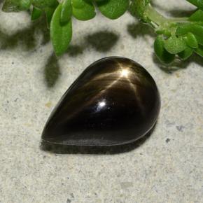 Saphir Étoilé Noire naturelle En forme de poire, 2.32 ct, Opaque