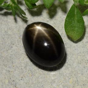 Saphir étoilé noir naturelle coupe ovale, 2,60 ct, opaque