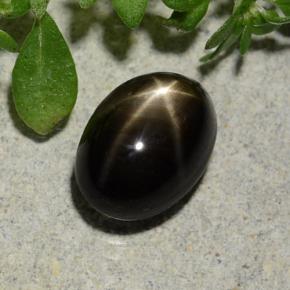 Saphir étoilé noir naturelle coupe ovale, 2,60 ct, opaque