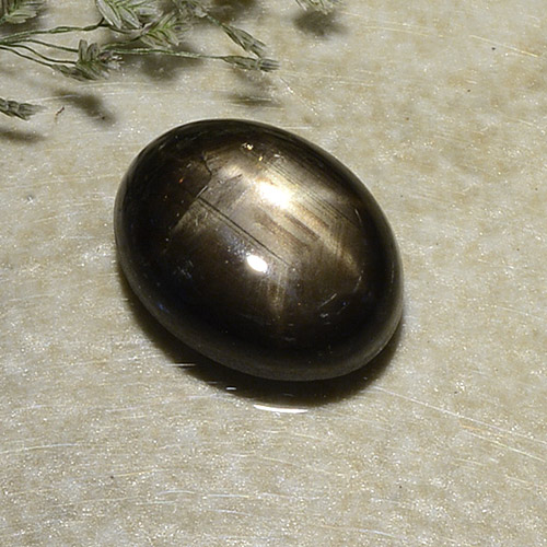 Saphir étoilé noir naturelle coupe ovale, 2,87 ct, opaque