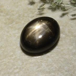 Saphir étoilé noir naturelle coupe ovale, 2,87 ct, opaque