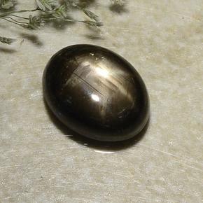 Saphir étoilé noir naturelle coupe ovale, 2,87 ct, opaque