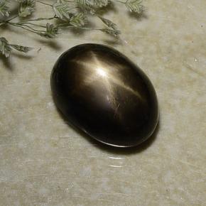 Saphir étoilé noir naturelle coupe ovale, 3,10 ct, opaque