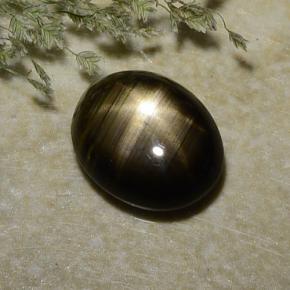 Saphir étoilé noir naturelle coupe ovale, 2,37 ct, opaque