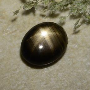 Saphir étoilé noir naturelle coupe ovale, 2,37 ct, opaque