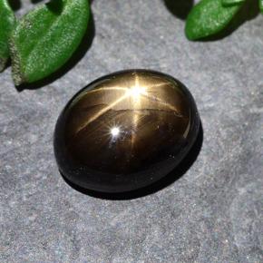 Saphir Étoilé Noire naturelle Coupe ovale, 2.28 ct, Opaque