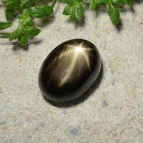 Saphir Étoilé Noire naturelle Coupe ovale, 3.73 ct, Opaque