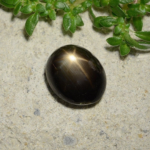 Saphir Étoilé Noire naturelle Coupe ovale, 2.51 ct, Opaque