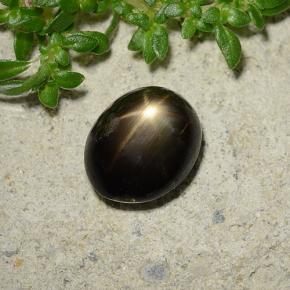 Saphir Étoilé Noire naturelle Coupe ovale, 2.51 ct, Opaque