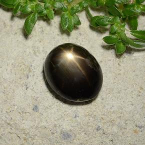Saphir Étoilé Noire naturelle Coupe ovale, 2.51 ct, Opaque