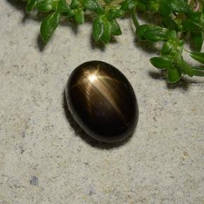 Saphir étoilé noir naturelle coupe ovale, 1,96 ct, opaque