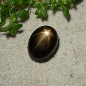 Saphir étoilé noir naturelle coupe ovale, 1,96 ct, opaque