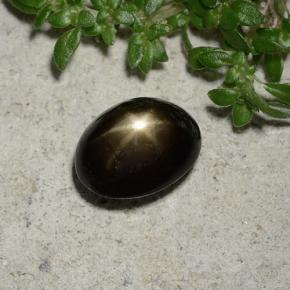 Saphir étoilé noir naturelle coupe ovale, 2,45 ct, opaque
