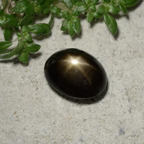 Saphir étoilé noir naturelle coupe ovale, 2,45 ct, opaque