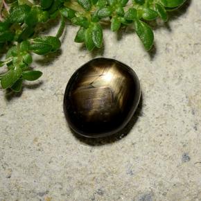 Saphir étoilé noir naturelle coupe ovale, 2,46 ct, opaque