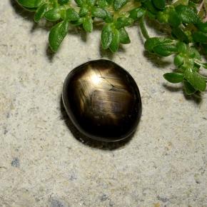 Saphir étoilé noir naturelle coupe ovale, 2,46 ct, opaque