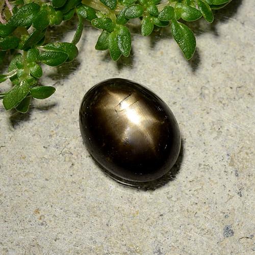 Saphir étoilé noir naturelle coupe ovale, 2,07 ct, opaque