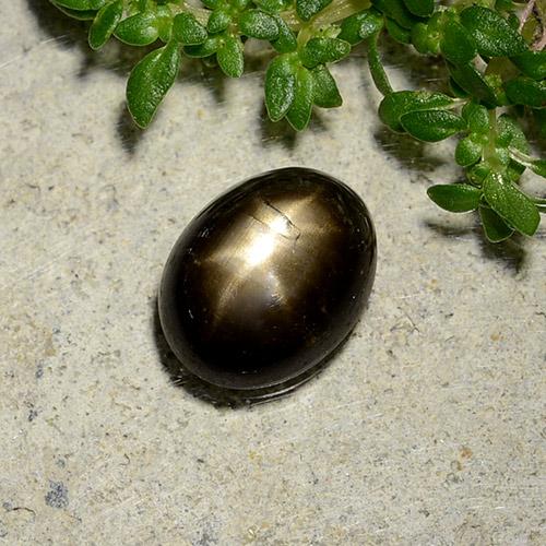 Saphir étoilé noir naturelle coupe ovale, 2,07 ct, opaque
