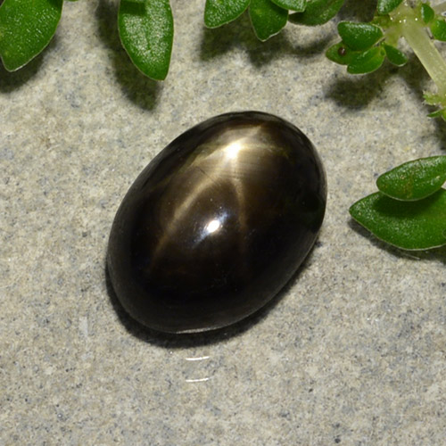Saphir étoilé noir naturelle coupe ovale, 2,91 ct, opaque
