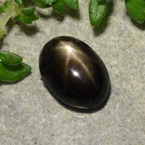 Saphir étoilé noir naturelle coupe ovale, 2,91 ct, opaque