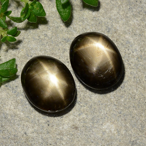 Achetez naturel 3,75ct noir saphir étoilé gems, coupe ovale, en provenance thaïlande chez gemselect. en stock, livraison internationale!