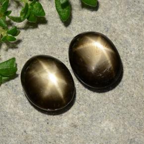 Achetez naturel 3,75ct noir saphir étoilé gems, coupe ovale, en provenance thaïlande chez gemselect. en stock, livraison internationale!