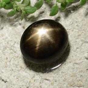 Saphir étoilé noir naturelle coupe ovale, 3,31 ct, opaque
