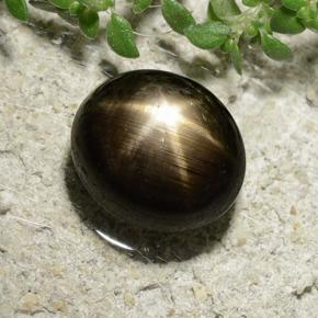 Saphir étoilé noir naturelle coupe ovale, 3,31 ct, opaque