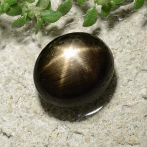 Saphir étoilé noir naturelle coupe ovale, 3,31 ct, opaque