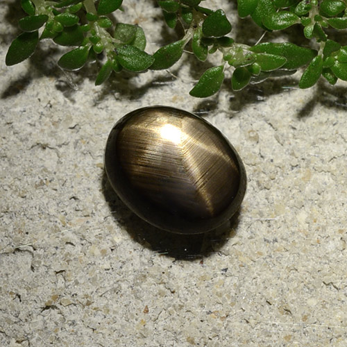 Saphir étoilé noir naturelle coupe ovale, 2,10 ct, opaque