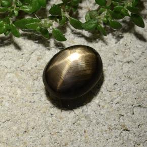 Saphir étoilé noir naturelle coupe ovale, 2,10 ct, opaque