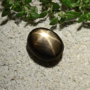 Saphir étoilé noir naturelle coupe ovale, 2,10 ct, opaque