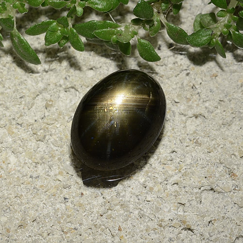 Saphir étoilé noir naturelle coupe ovale, 2,47 ct, opaque
